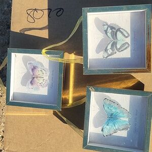 Set of 3 Charming Watercolor Butterfly Lightweight Framed Pictures Wall Decor